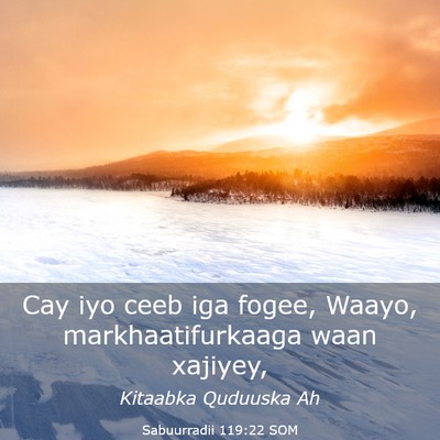 Picture 03 - Sabuurradii 119:22 SOM - Cay iyo ceeb iga fogee, Waayo, markhaatifurkaaga - Bible Verse Picture