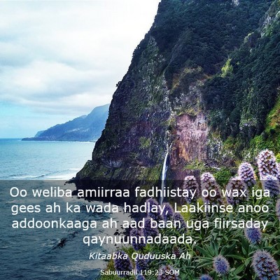 Picture 03 - Sabuurradii 119:23 SOM - Oo weliba amiirraa fadhiistay oo wax iga gees ah - Bible Verse Picture