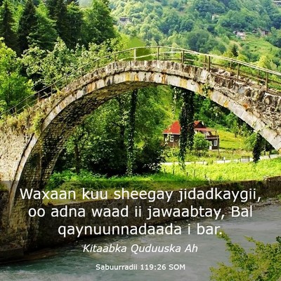 Picture 03 - Sabuurradii 119:26 SOM - Waxaan kuu sheegay jidadkaygii, oo adna waad ii - Bible Verse Picture