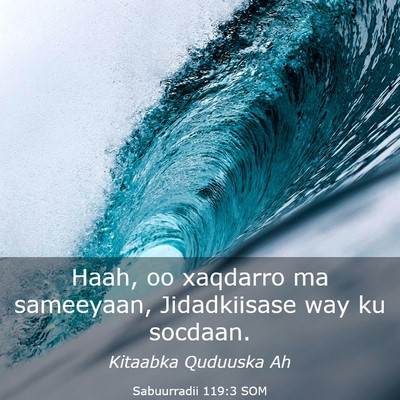 Picture 03 - Sabuurradii 119:3 SOM - Haah, oo xaqdarro ma sameeyaan, Jidadkiisase way - Bible Verse Picture
