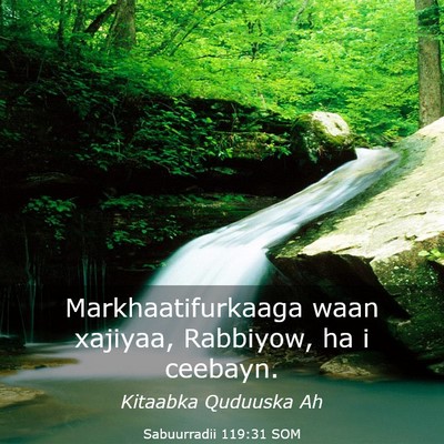 Picture 03 - Sabuurradii 119:31 SOM - Markhaatifurkaaga waan xajiyaa, Rabbiyow, ha i - Bible Verse Picture