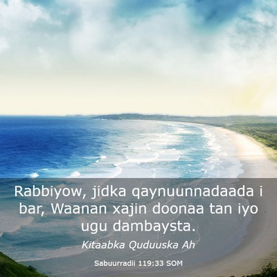 Picture 03 - Sabuurradii 119:33 SOM - Rabbiyow, jidka qaynuunnadaada i bar, Waanan - Bible Verse Picture