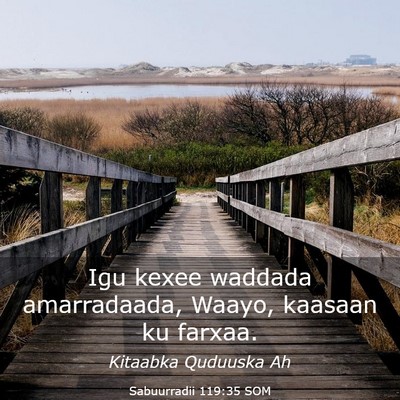 Picture 03 - Sabuurradii 119:35 SOM - Igu kexee waddada amarradaada, Waayo, kaasaan ku - Bible Verse Picture
