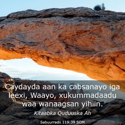Picture 03 - Sabuurradii 119:39 SOM - Caydayda aan ka cabsanayo iga leexi, Waayo, - Bible Verse Picture