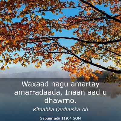 Picture 03 - Sabuurradii 119:4 SOM - Waxaad nagu amartay amarradaada, Inaan aad u - Bible Verse Picture