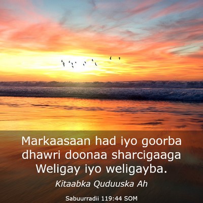 Picture 03 - Sabuurradii 119:44 SOM - Markaasaan had iyo goorba dhawri doonaa - Bible Verse Picture