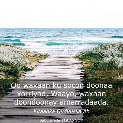 Picture 03 - Sabuurradii 119:45 SOM - Oo waxaan ku socon doonaa xorriyad, Waayo, waxaan - Bible Verse Picture