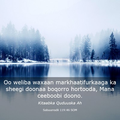Picture 03 - Sabuurradii 119:46 SOM - Oo weliba waxaan markhaatifurkaaga ka sheegi - Bible Verse Picture