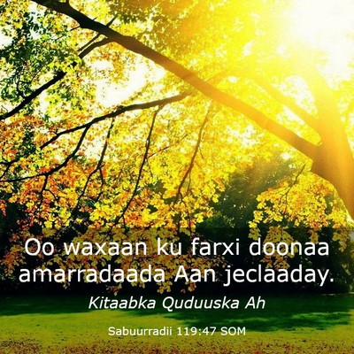 Picture 03 - Sabuurradii 119:47 SOM - Oo waxaan ku farxi doonaa amarradaada Aan - Bible Verse Picture