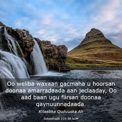Picture 03 - Sabuurradii 119:48 SOM - Oo weliba waxaan gacmaha u hoorsan doonaa - Bible Verse Picture