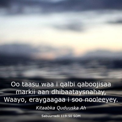 Picture 03 - Sabuurradii 119:50 SOM - Oo taasu waa i qalbi qaboojisaa markii aan - Bible Verse Picture