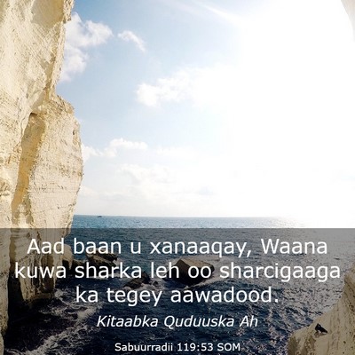 Picture 03 - Sabuurradii 119:53 SOM - Aad baan u xanaaqay, Waana kuwa sharka leh oo - Bible Verse Picture