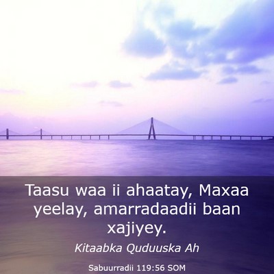 Picture 03 - Sabuurradii 119:56 SOM - Taasu waa ii ahaatay, Maxaa yeelay, amarradaadii - Bible Verse Picture