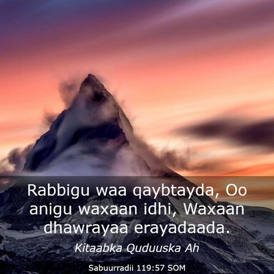 Picture 03 - Sabuurradii 119:57 SOM - Rabbigu waa qaybtayda, Oo anigu waxaan idhi, - Bible Verse Picture