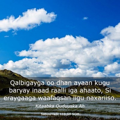 Picture 03 - Sabuurradii 119:58 SOM - Qalbigayga oo dhan ayaan kugu baryay inaad raalli - Bible Verse Picture