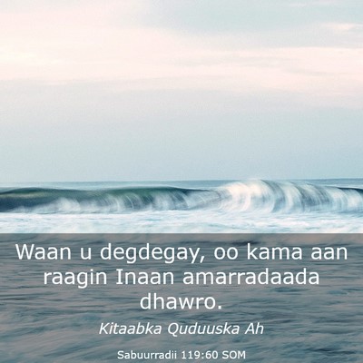 Picture 03 - Sabuurradii 119:60 SOM - Waan u degdegay, oo kama aan raagin Inaan - Bible Verse Picture