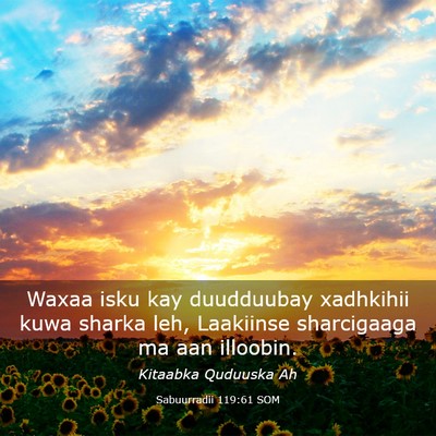 Picture 03 - Sabuurradii 119:61 SOM - Waxaa isku kay duudduubay xadhkihii kuwa sharka - Bible Verse Picture