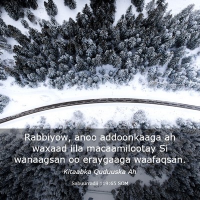 Picture 03 - Sabuurradii 119:65 SOM - Rabbiyow, anoo addoonkaaga ah waxaad iila - Bible Verse Picture
