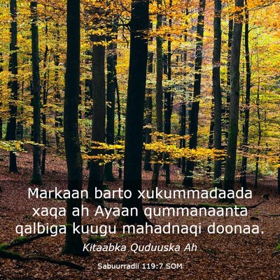 Picture 03 - Sabuurradii 119:7 SOM - Markaan barto xukummadaada xaqa ah Ayaan - Bible Verse Picture
