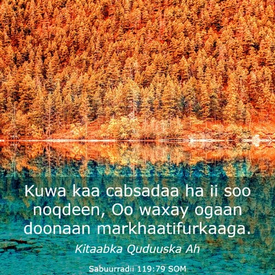 Picture 03 - Sabuurradii 119:79 SOM - Kuwa kaa cabsadaa ha ii soo noqdeen, Oo waxay - Bible Verse Picture