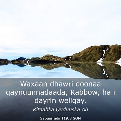 Picture 03 - Sabuurradii 119:8 SOM - Waxaan dhawri doonaa qaynuunnadaada, Rabbow, ha i - Bible Verse Picture