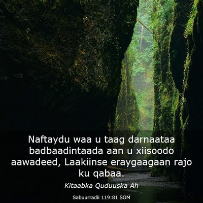 Picture 03 - Sabuurradii 119:81 SOM - Naftaydu waa u taag darnaataa badbaadintaada aan - Bible Verse Picture