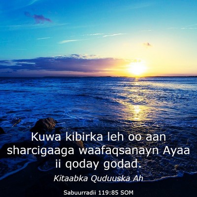 Picture 03 - Sabuurradii 119:85 SOM - Kuwa kibirka leh oo aan sharcigaaga waafaqsanayn - Bible Verse Picture