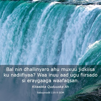 Picture 03 - Sabuurradii 119:9 SOM - Bal nin dhallinyaro ahu muxuu jidkiisa ku - Bible Verse Picture
