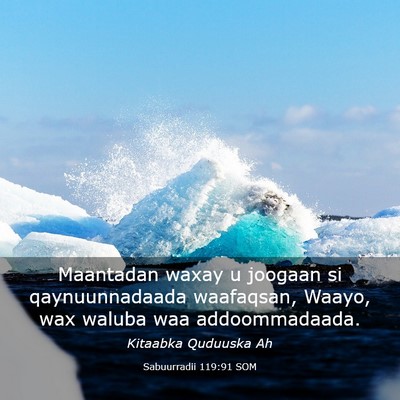 Picture 03 - Sabuurradii 119:91 SOM - Maantadan waxay u joogaan si qaynuunnadaada - Bible Verse Picture