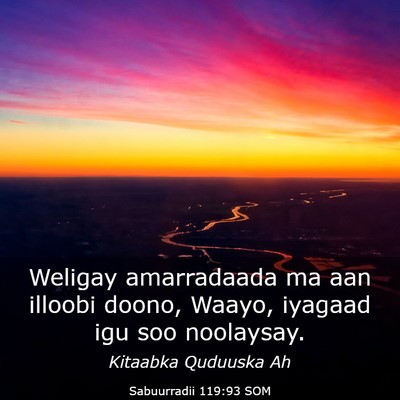 Picture 03 - Sabuurradii 119:93 SOM - Weligay amarradaada ma aan illoobi doono, Waayo, - Bible Verse Picture