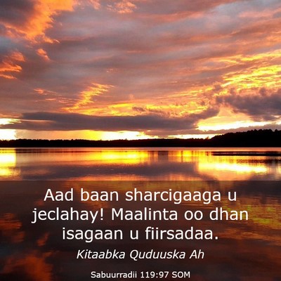 Picture 03 - Sabuurradii 119:97 SOM - Aad baan sharcigaaga u jeclahay! Maalinta oo dhan - Bible Verse Picture