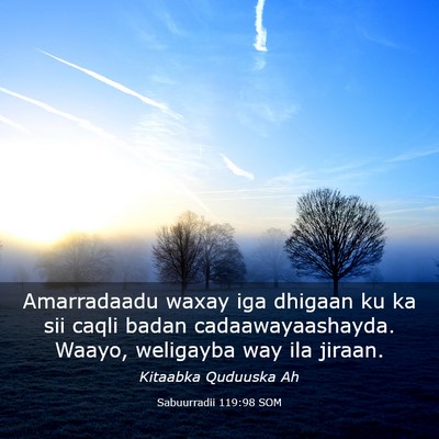 Picture 03 - Sabuurradii 119:98 SOM - Amarradaadu waxay iga dhigaan ku ka sii caqli - Bible Verse Picture