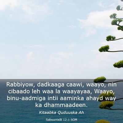 Picture 03 - Sabuurradii 12:1 SOM - Rabbiyow, dadkaaga caawi, waayo, nin cibaado leh - Bible Verse Picture