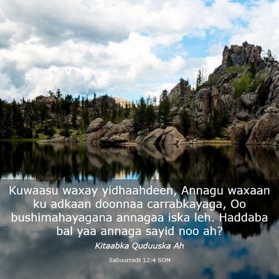 Picture 03 - Sabuurradii 12:4 SOM - Kuwaasu waxay yidhaahdeen, Annagu waxaan ku - Bible Verse Picture
