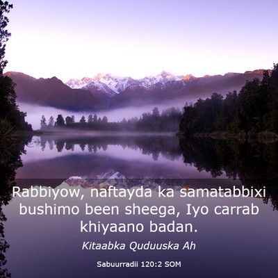 Picture 03 - Sabuurradii 120:2 SOM - Rabbiyow, naftayda ka samatabbixi bushimo been - Bible Verse Picture
