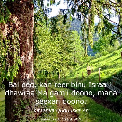 Picture 03 - Sabuurradii 121:4 SOM - Bal eeg, kan reer binu Israa'iil dhawraa Ma gam'i - Bible Verse Picture
