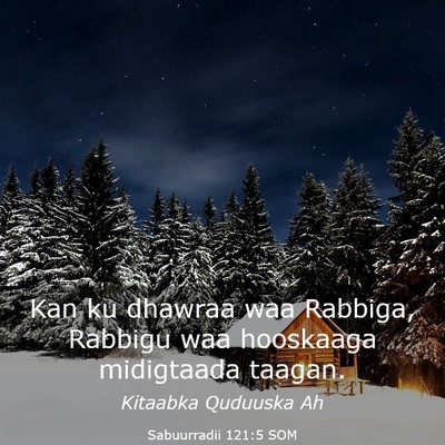 Picture 03 - Sabuurradii 121:5 SOM - Kan ku dhawraa waa Rabbiga, Rabbigu waa hooskaaga - Bible Verse Picture