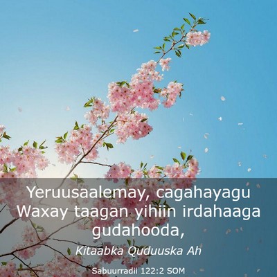 Picture 03 - Sabuurradii 122:2 SOM - Yeruusaalemay, cagahayagu Waxay taagan yihiin - Bible Verse Picture