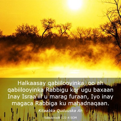 Picture 03 - Sabuurradii 122:4 SOM - Halkaasay qabiilooyinka, oo ah qabiilooyinka - Bible Verse Picture