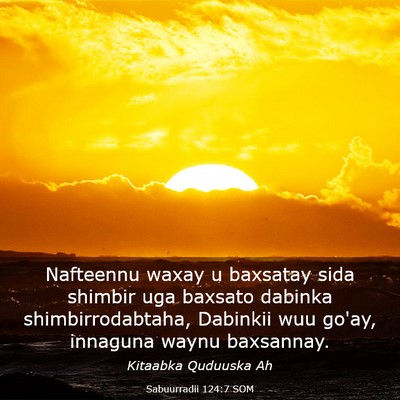 Picture 03 - Sabuurradii 124:7 SOM - Nafteennu waxay u baxsatay sida shimbir uga - Bible Verse Picture