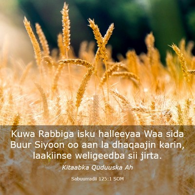 Picture 03 - Sabuurradii 125:1 SOM - Kuwa Rabbiga isku halleeyaa Waa sida Buur Siyoon - Bible Verse Picture