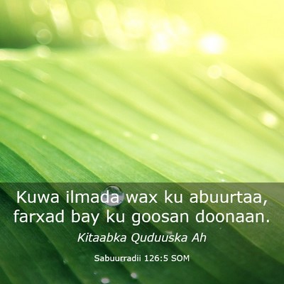 Picture 03 - Sabuurradii 126:5 SOM - Kuwa ilmada wax ku abuurtaa, farxad bay ku goosan - Bible Verse Picture