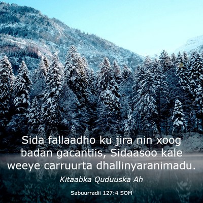 Picture 03 - Sabuurradii 127:4 SOM - Sida fallaadho ku jira nin xoog badan gacantiis, - Bible Verse Picture