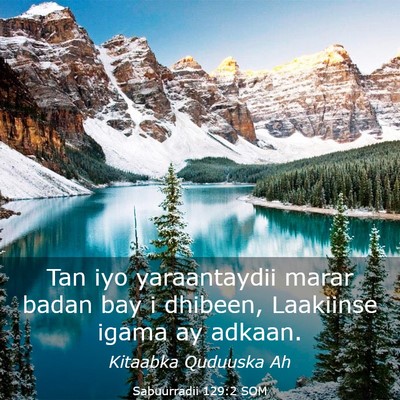 Picture 03 - Sabuurradii 129:2 SOM - Tan iyo yaraantaydii marar badan bay i dhibeen, - Bible Verse Picture