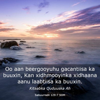 Picture 03 - Sabuurradii 129:7 SOM - Oo aan beergooyuhu gacantiisa ka buuxin, Kan - Bible Verse Picture