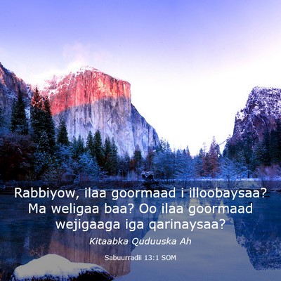 Picture 03 - Sabuurradii 13:1 SOM - Rabbiyow, ilaa goormaad i illoobaysaa? Ma weligaa - Bible Verse Picture