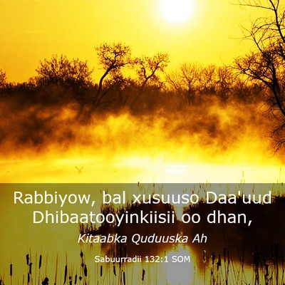 Picture 03 - Sabuurradii 132:1 SOM - Rabbiyow, bal xusuuso Daa'uud Dhibaatooyinkiisii - Bible Verse Picture