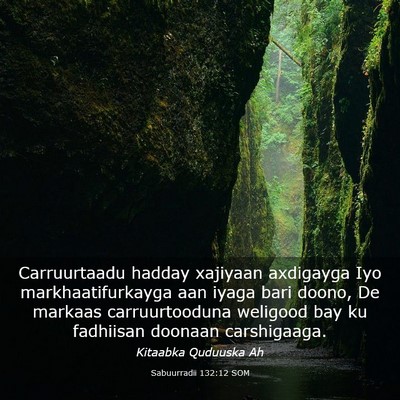 Picture 03 - Sabuurradii 132:12 SOM - Carruurtaadu hadday xajiyaan axdigayga Iyo - Bible Verse Picture