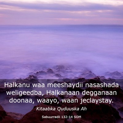 Picture 03 - Sabuurradii 132:14 SOM - Halkanu waa meeshaydii nasashada weligeedba, - Bible Verse Picture