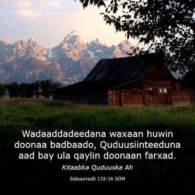 Picture 03 - Sabuurradii 132:16 SOM - Wadaaddadeedana waxaan huwin doonaa badbaado, - Bible Verse Picture
